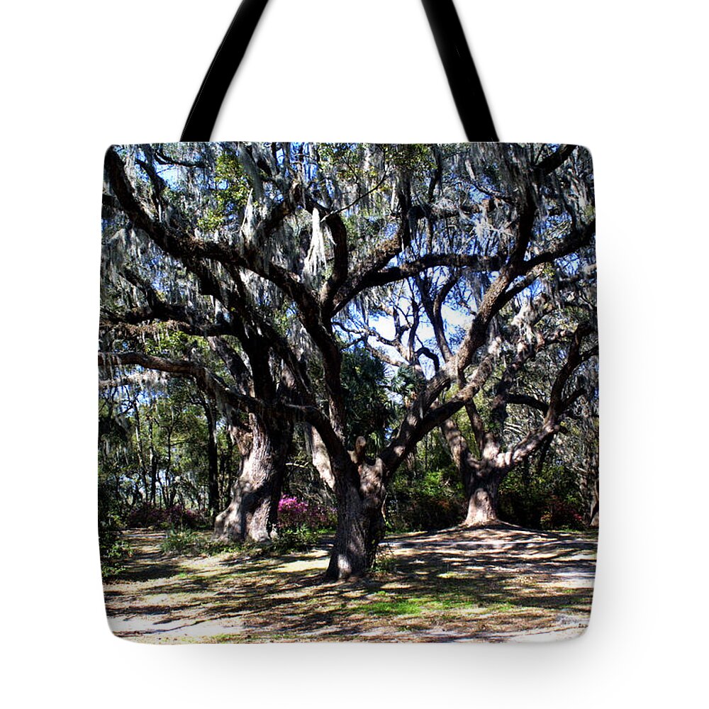Landscape Tote Bag featuring the photograph Swaying by Jean Wolfrum
