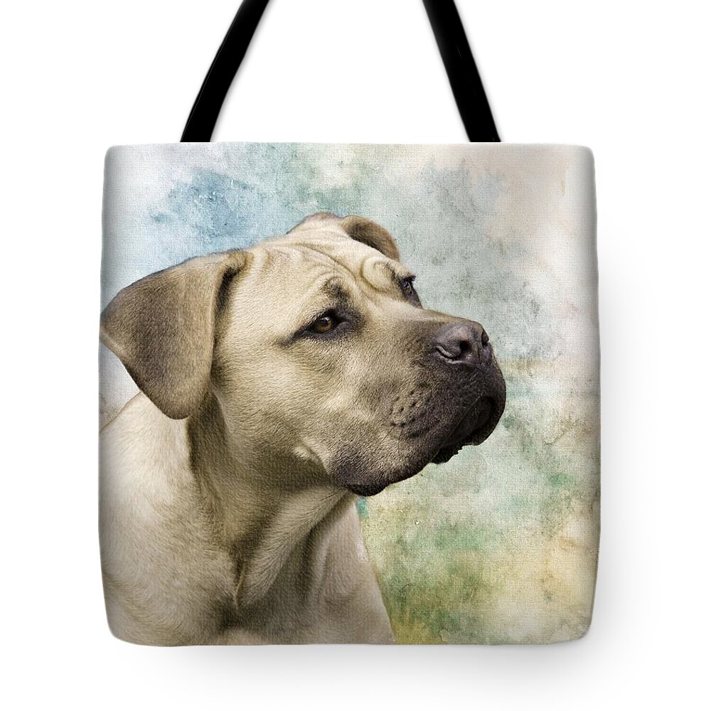 Cane Corso Tote Bag featuring the photograph Sweet Cane Corso, Italian Mastiff Dog Portrait by Melissa Bittinger