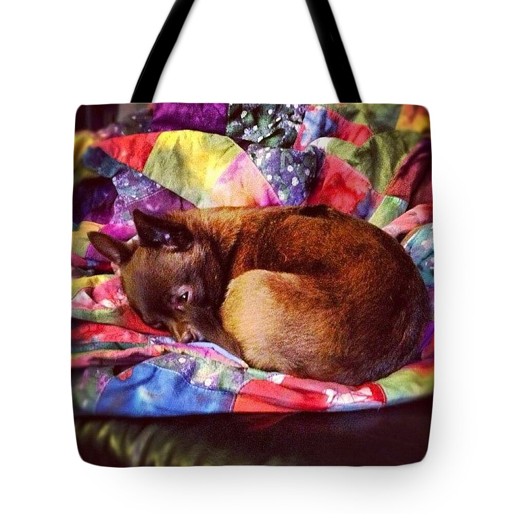 Dreams Tote Bag featuring the photograph Sweet Dreams Are Made Of These by Nick Heap