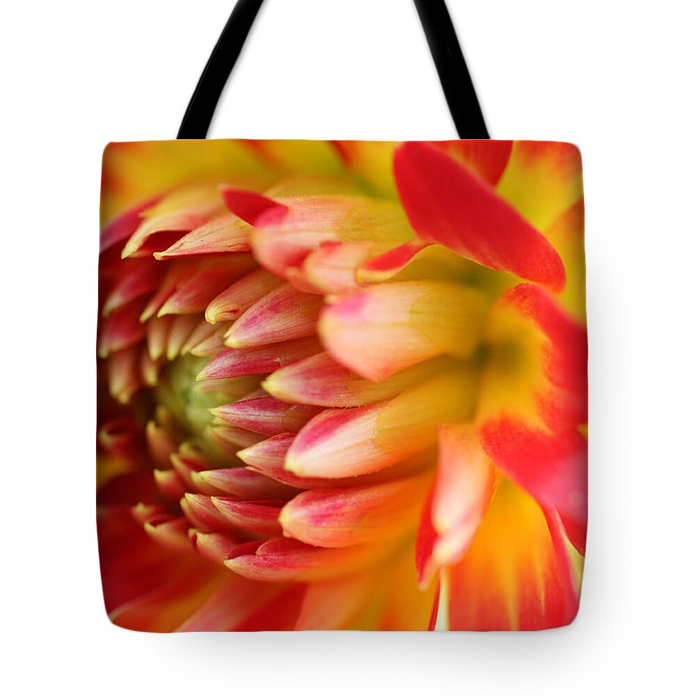 Flower Tote Bag featuring the photograph Sweet Spring by Robert Och