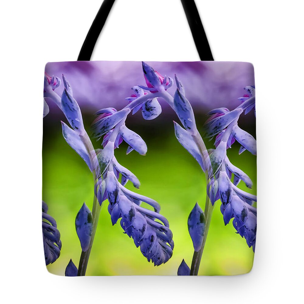 Succulent Tote Bag featuring the photograph Succulent Swirl #1 by Lucy VanSwearingen