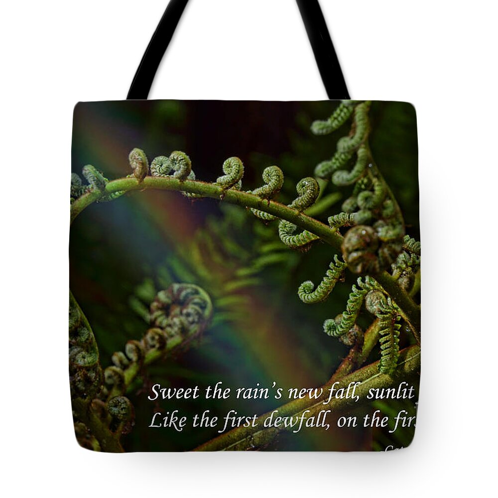 Cat Stevens Tote Bag featuring the photograph Sweet the Rain's New Fall by Jim Fitzpatrick