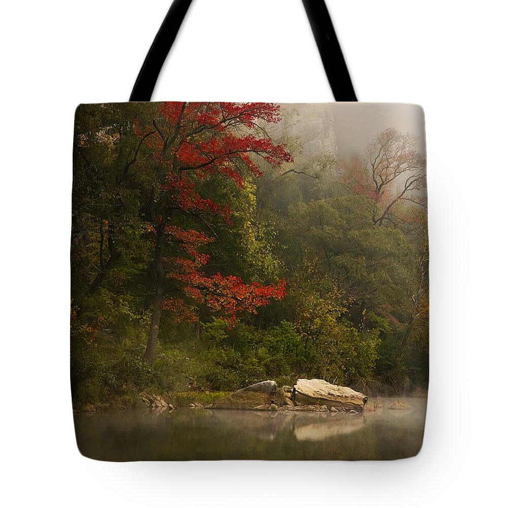 Sweetgum In The Mist Tote Bag featuring the photograph Sweetgum in the Mist at Steel Creek by Michael Dougherty
