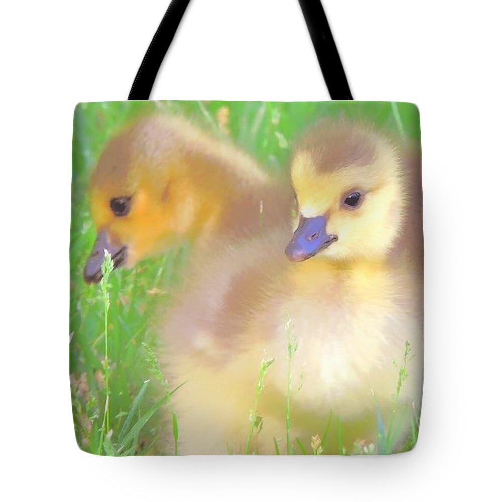 Goslings Tote Bag featuring the photograph Sweetness In The Grass by Tami Quigley