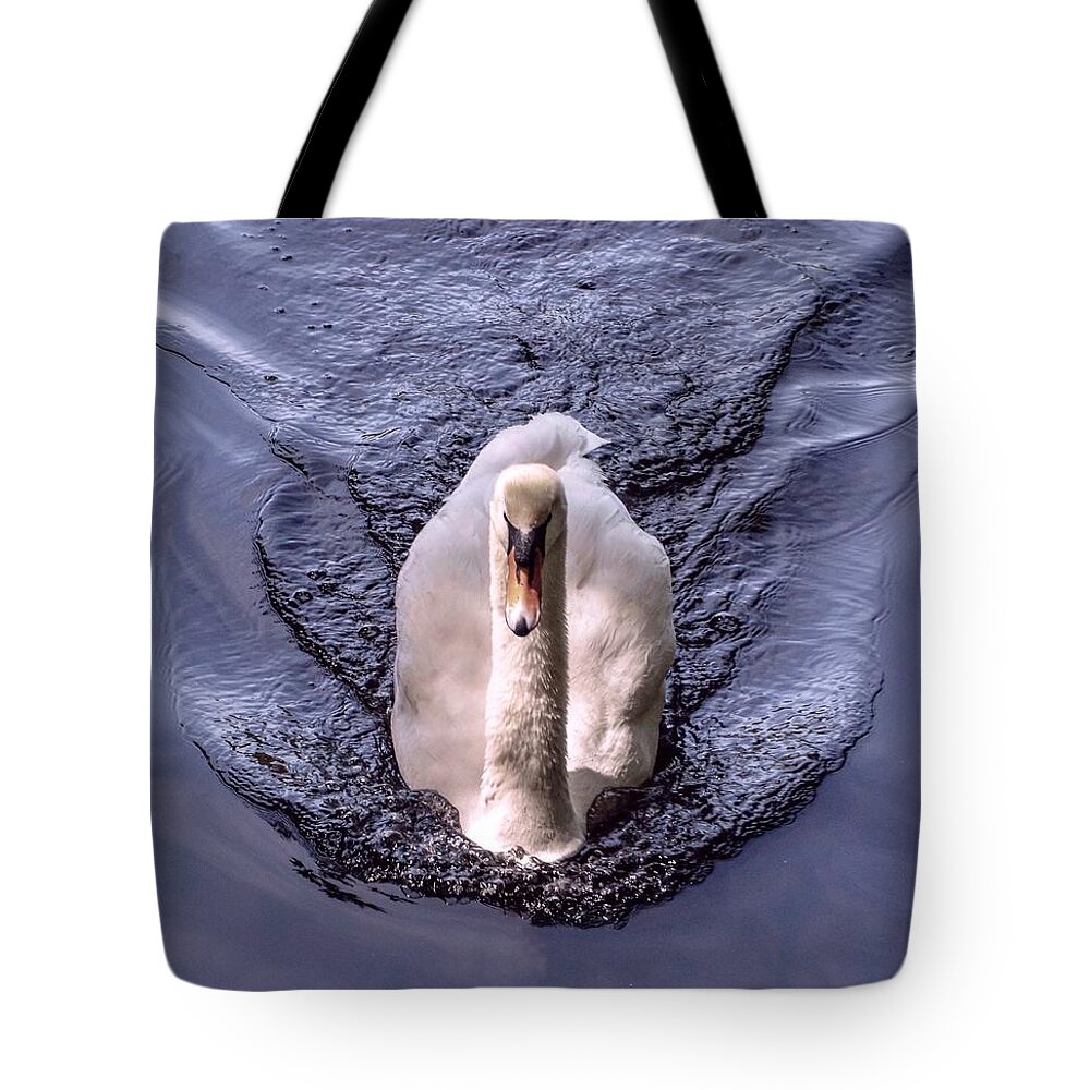 Swan Tote Bag featuring the photograph Swim by Shannon Kelly
