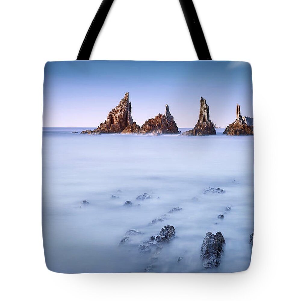 Water Tote Bag featuring the photograph Swimming Dragons by Dominique Dubied