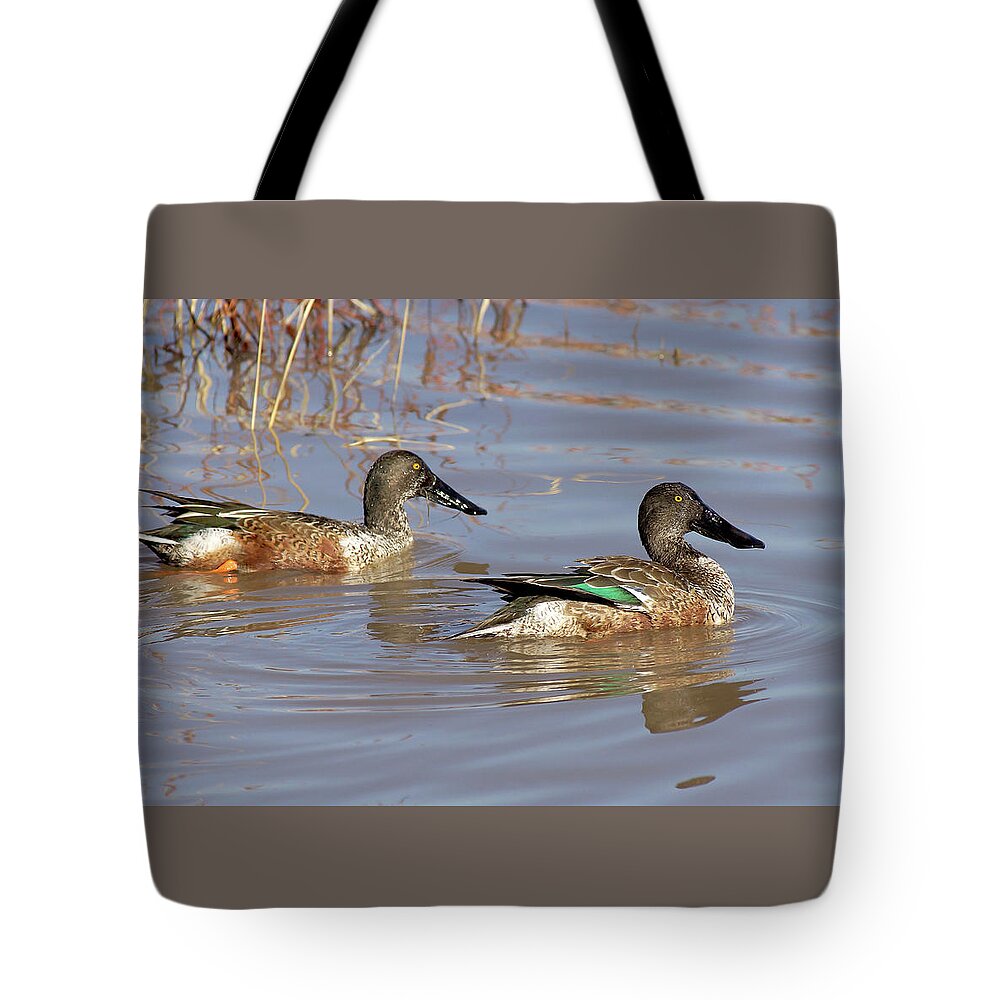 Duck Tote Bag featuring the photograph Swimming Mates by Leda Robertson