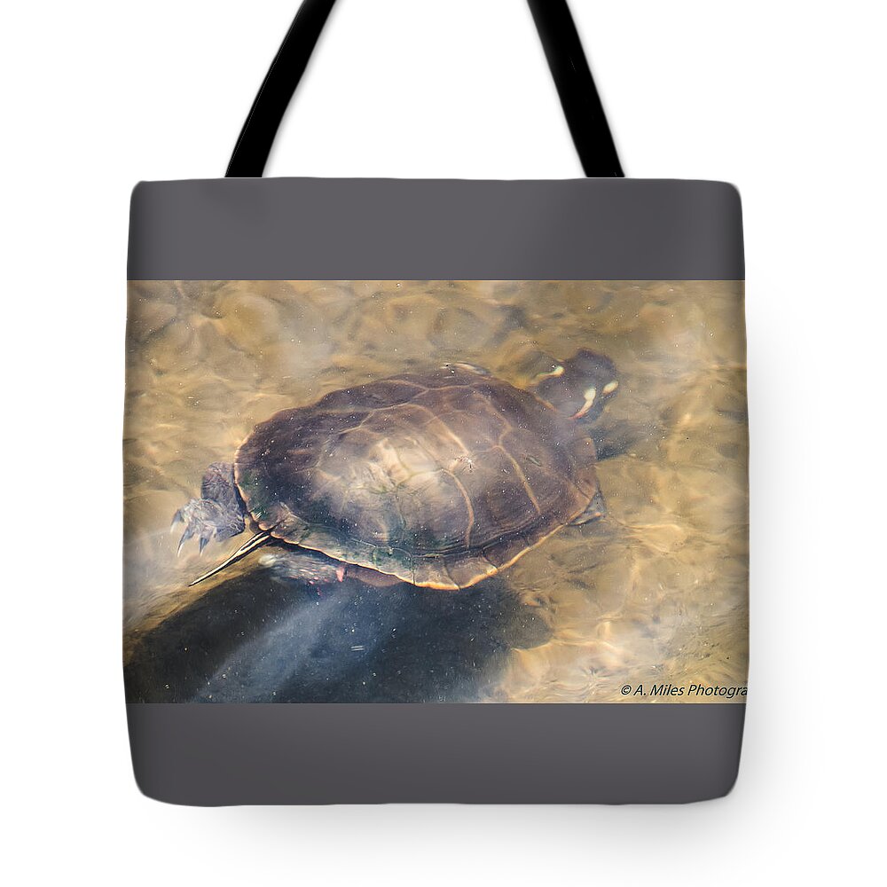 Nature Tote Bag featuring the photograph Swimming Turtle by Andrew Miles