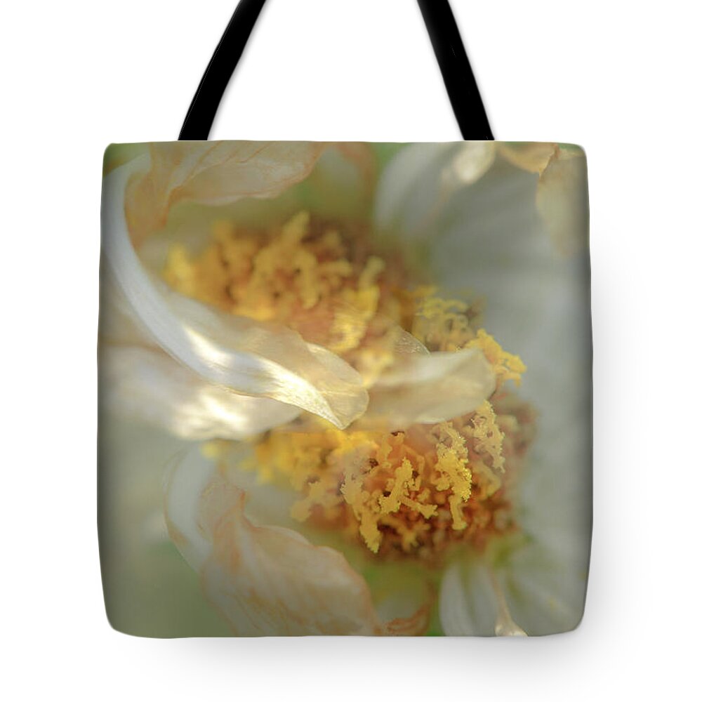  Tote Bag featuring the photograph Flower Swirl.... by Paul Vitko
