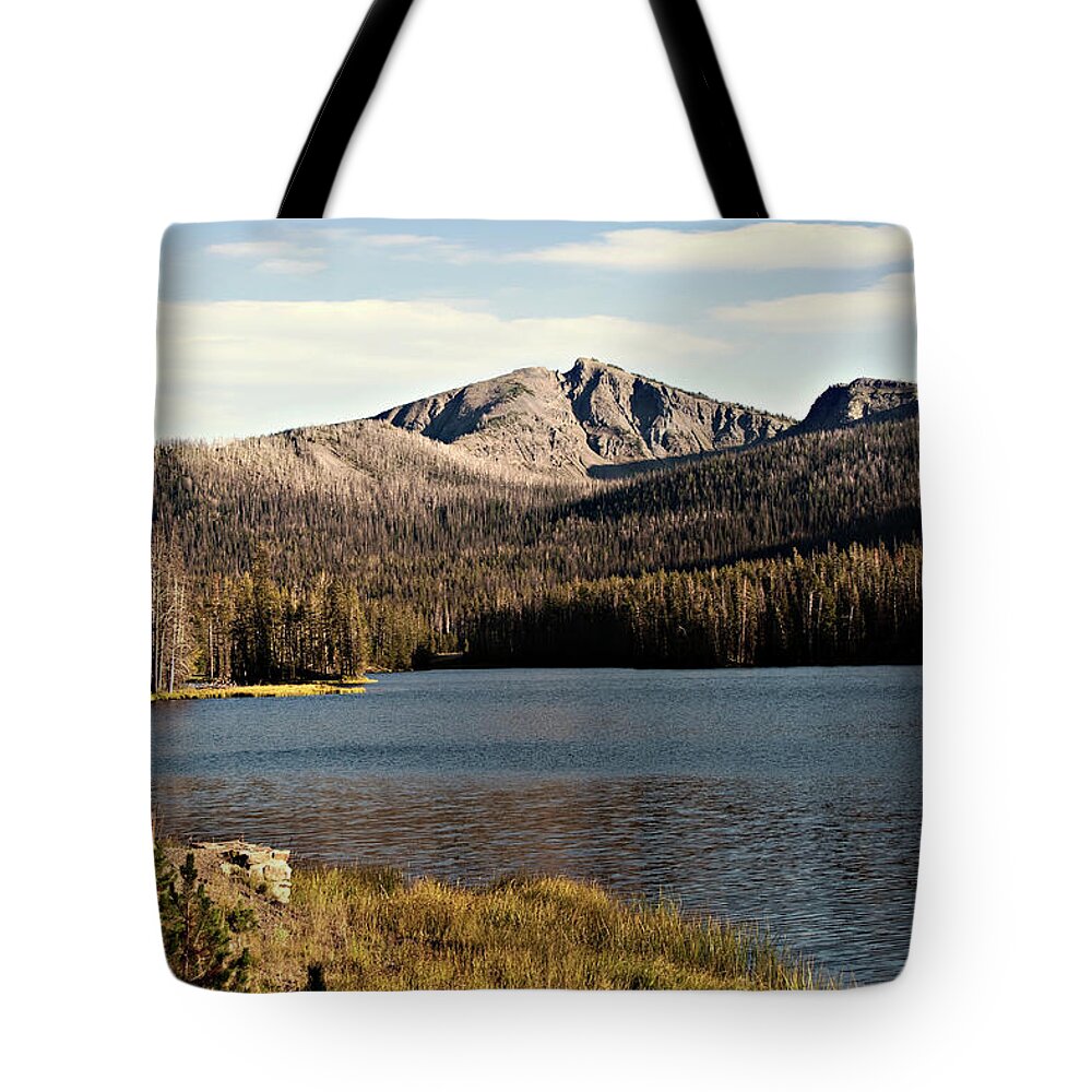 Bank Tote Bag featuring the photograph Sylvan Lake by Lana Trussell