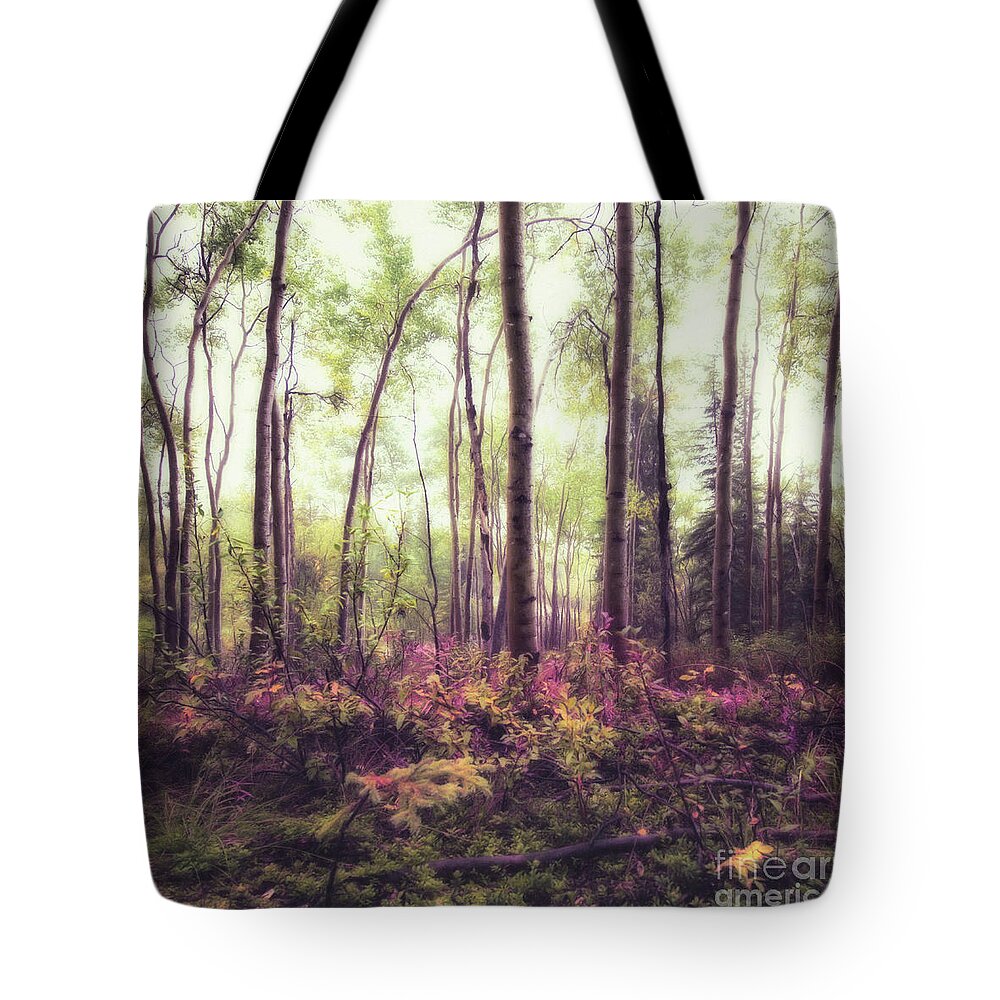 Pink Tote Bag featuring the photograph Sylvan by Priska Wettstein