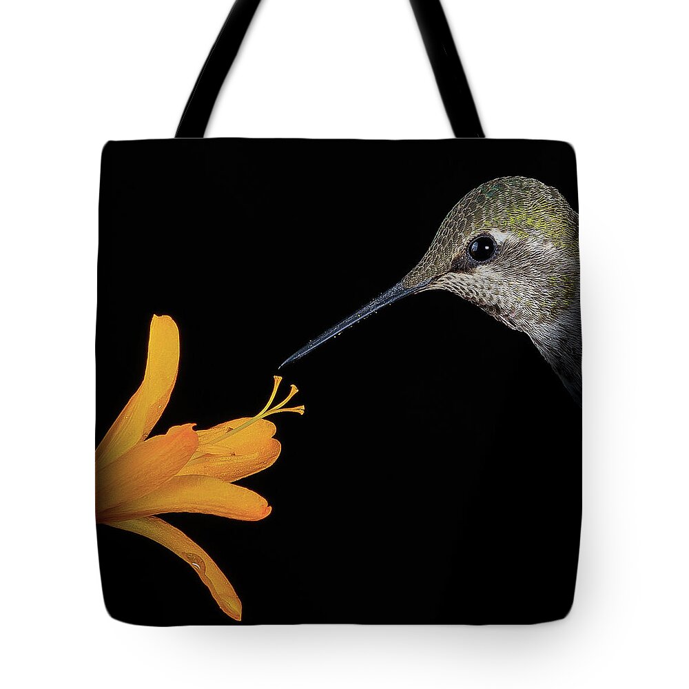 Animal Tote Bag featuring the photograph Symbiosis by Briand Sanderson