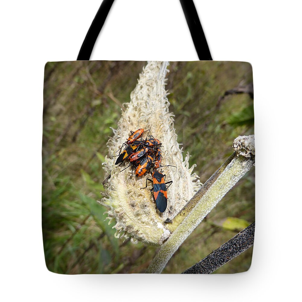 Interesting Weeds Tote Bag featuring the photograph Symbiosis by Joel Deutsch