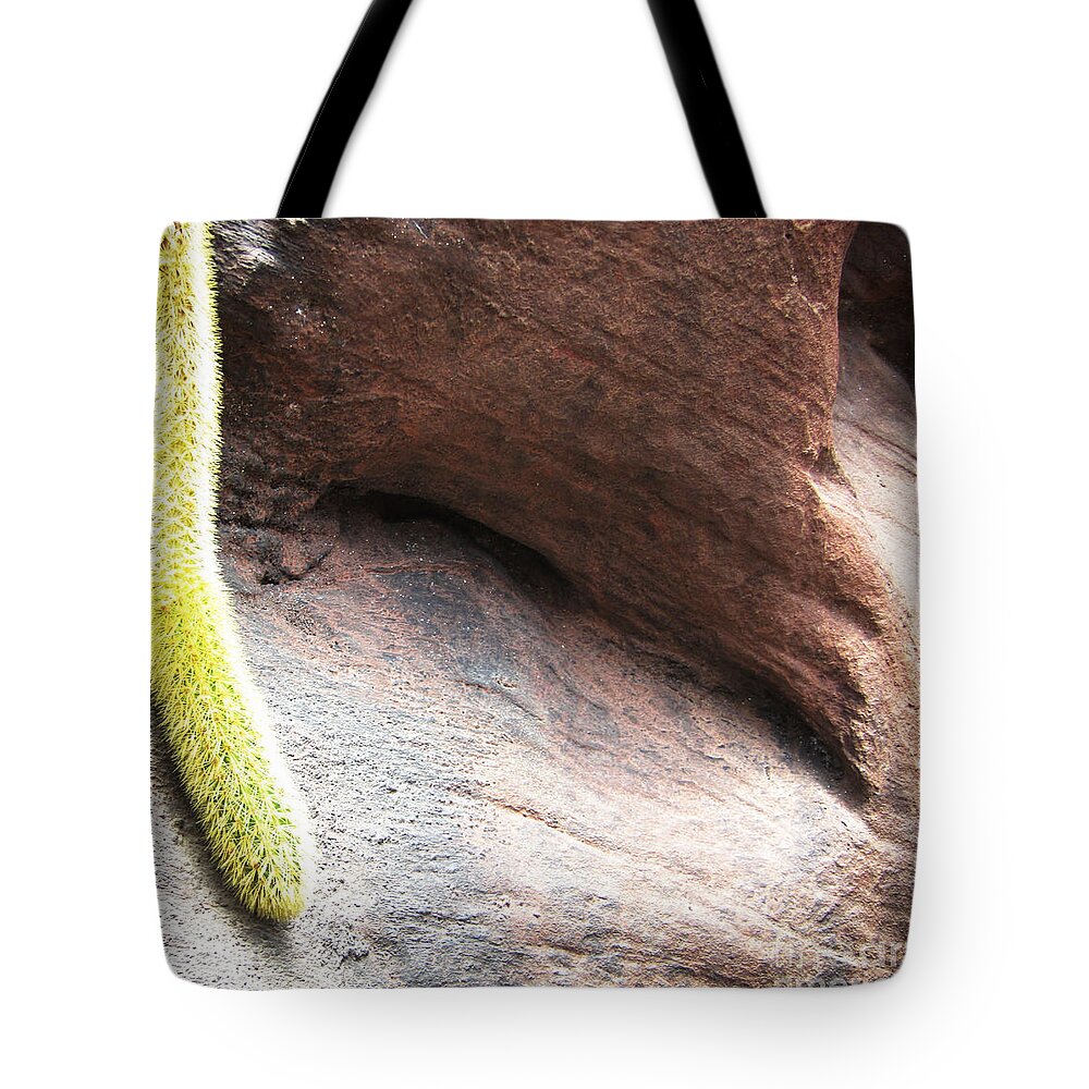 Cactus Tote Bag featuring the photograph Tail of the Cactus by Robert Knight