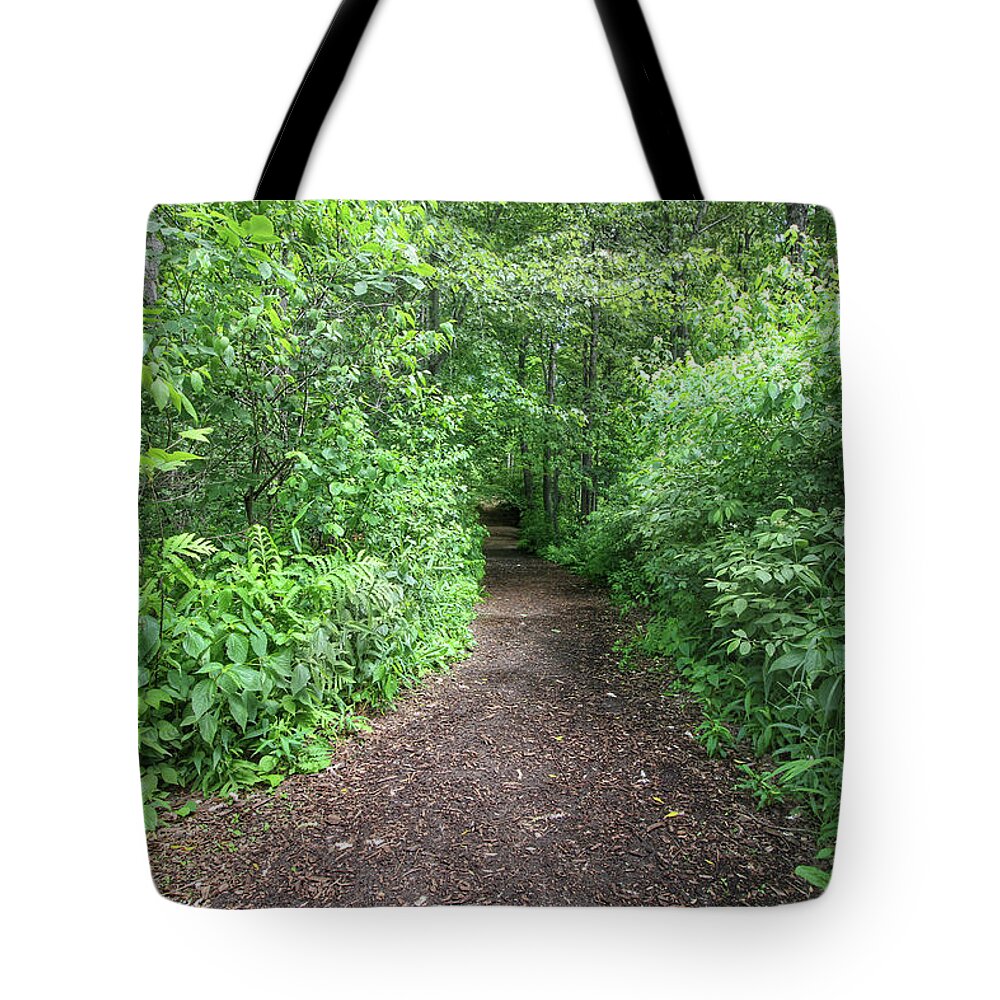 Hike Tote Bag featuring the photograph Take a Hike by Jackson Pearson