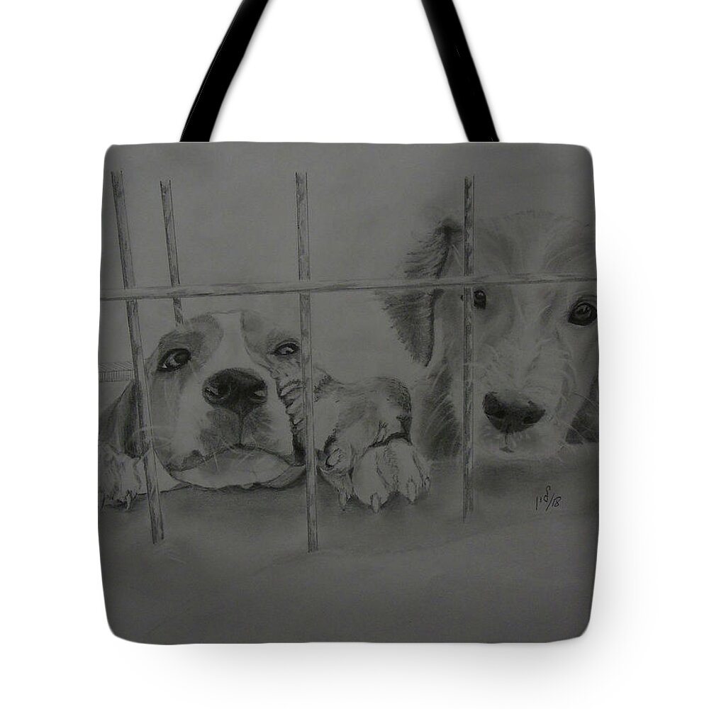 Drawing Tote Bag featuring the drawing Take me home by Maria Woithofer