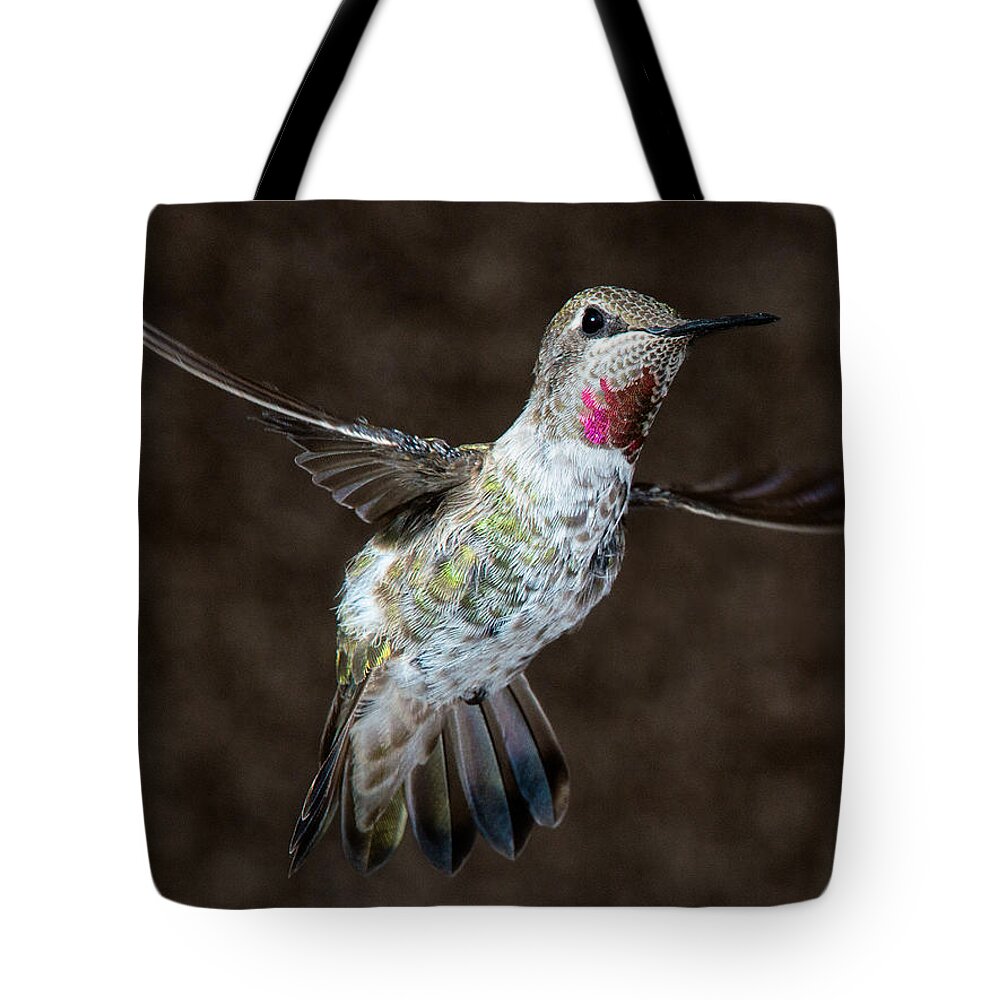 Hummingbird Tote Bag featuring the photograph Take My Good Side Please by Patrick Campbell