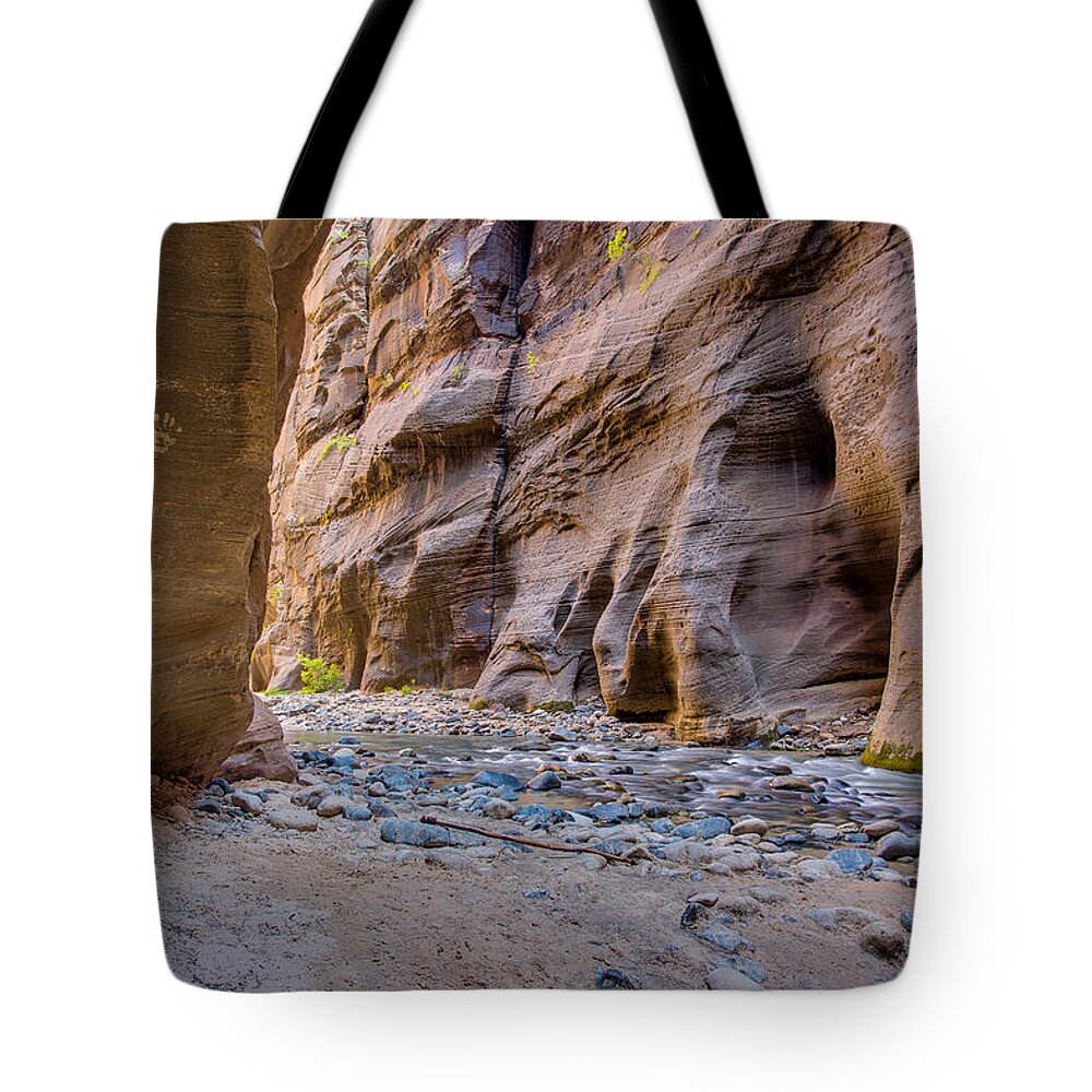 Zion National Park Tote Bag featuring the photograph Take Nothing but Pictures Leave Nothing but Handprints by Adam Mateo Fierro