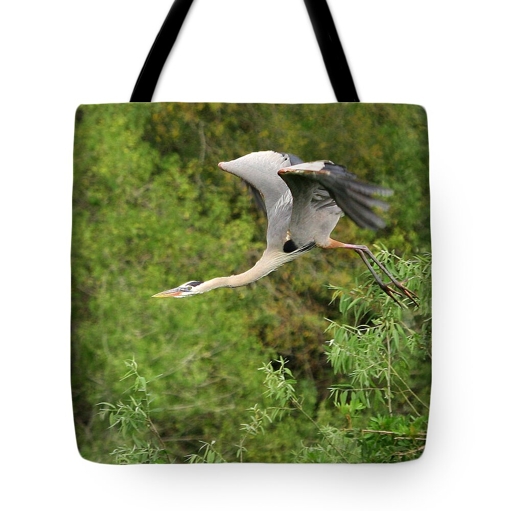 Blue Heron Flight Flying Bird Photography Digital Art Photograph Florida Shore Tote Bag featuring the photograph Take Off by Shari Jardina
