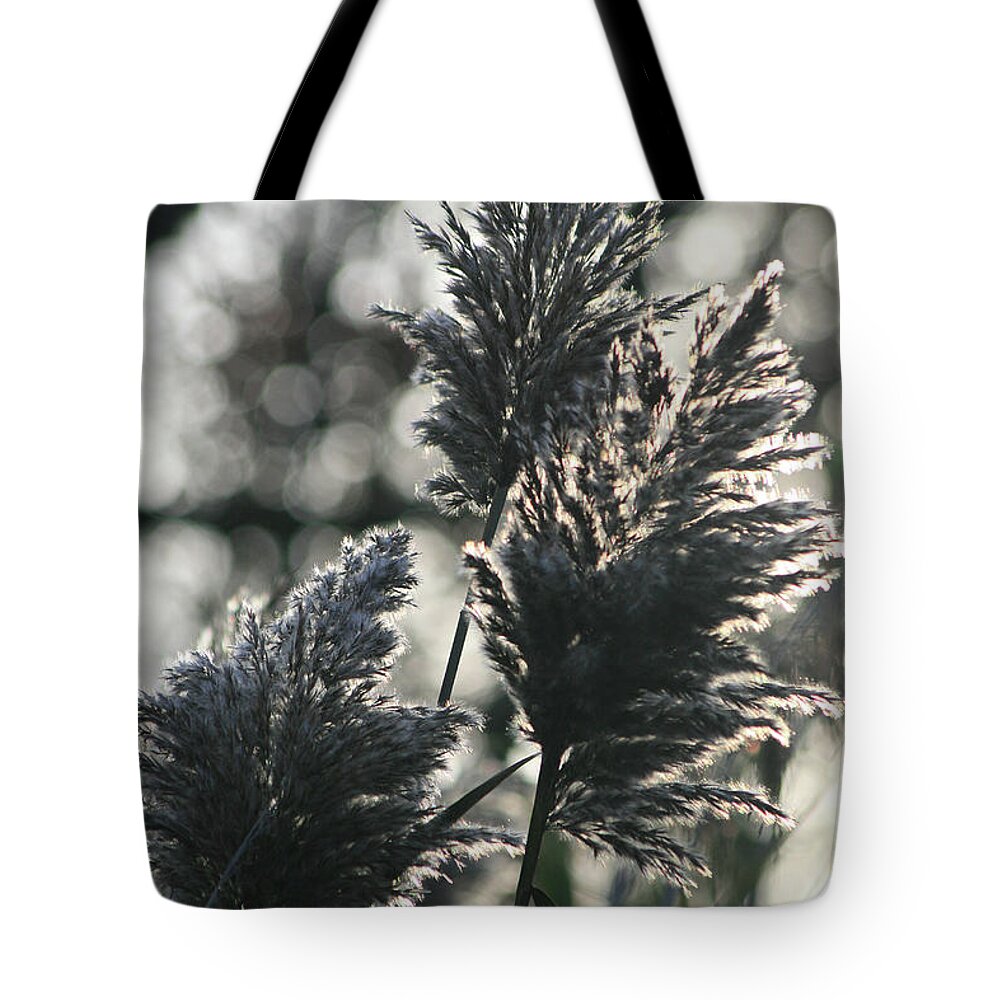 Grass Tote Bag featuring the photograph Tall Grasses by Rich S