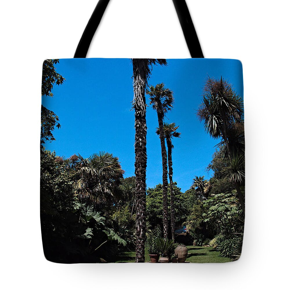 Trees Tote Bag featuring the photograph Tall Trees by Richard Denyer