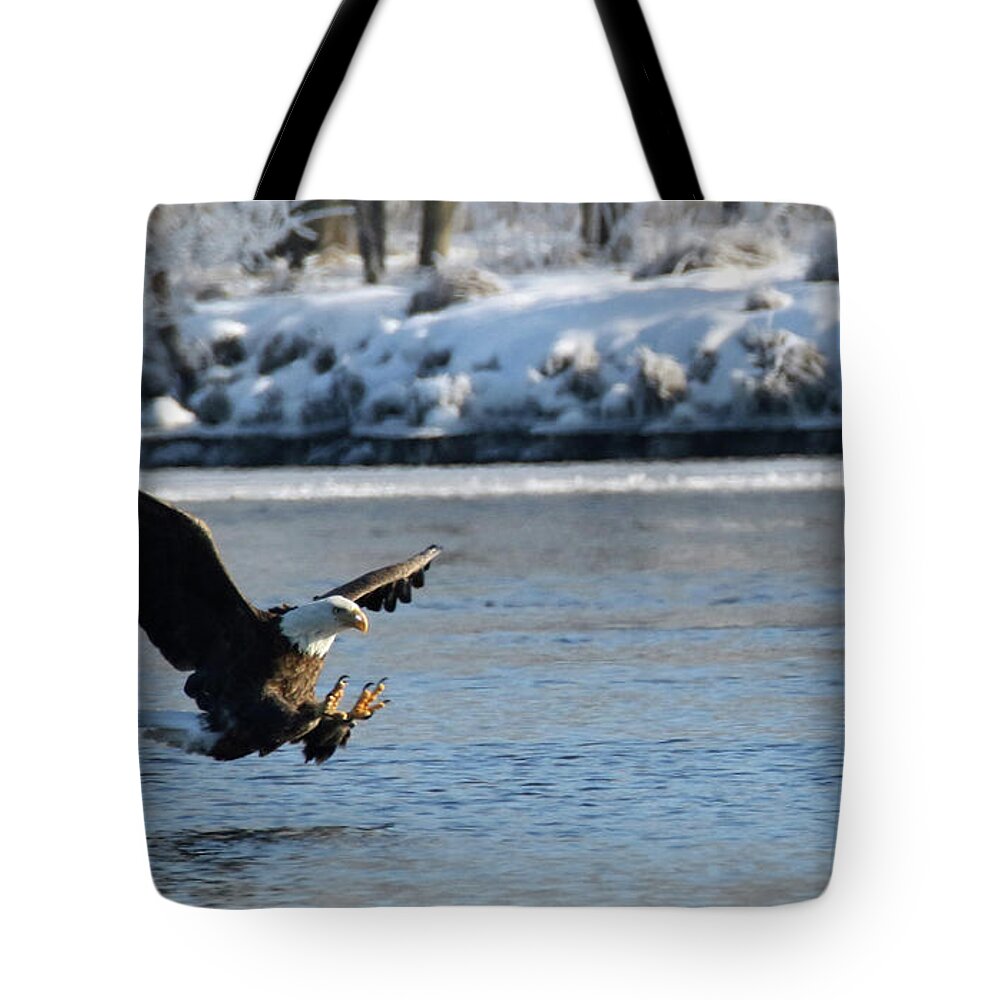 Eagle Tote Bag featuring the photograph Talons Out by Brook Burling