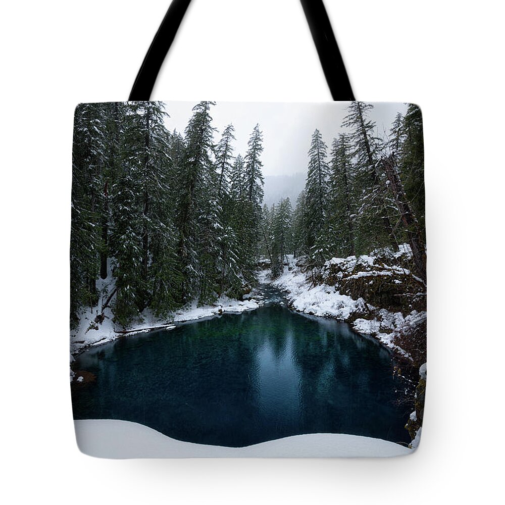 Mckenzie Tote Bag featuring the photograph Tamolitch Pool by Andrew Kumler