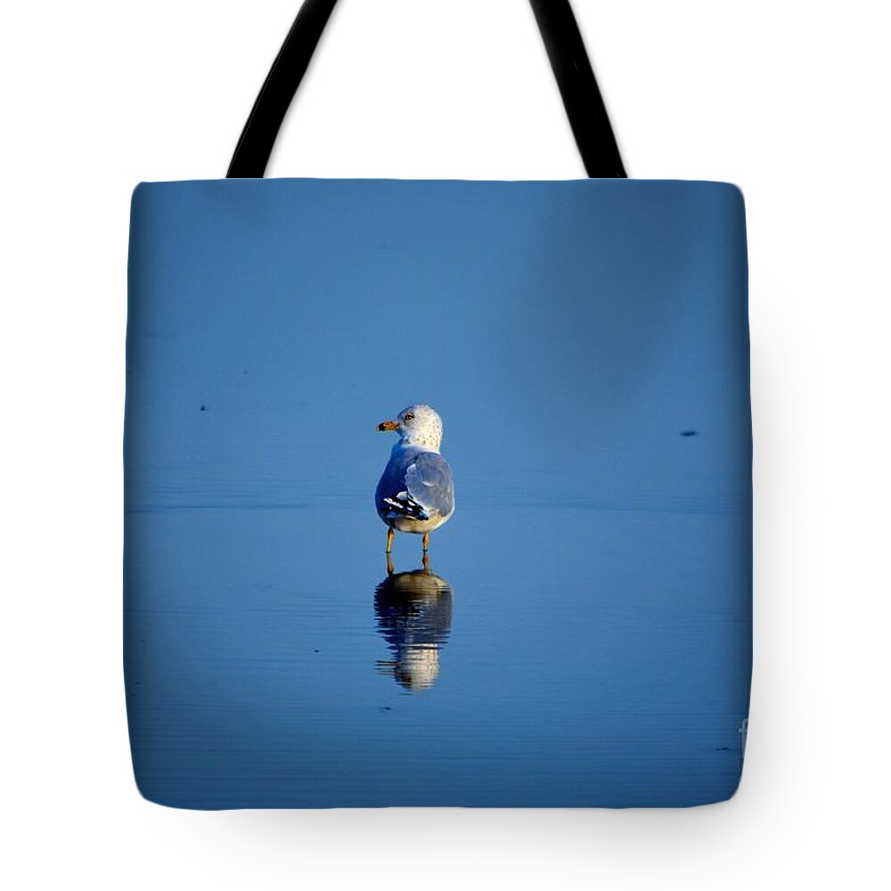 Seagull Tote Bag featuring the photograph Tan Lines by Dani McEvoy