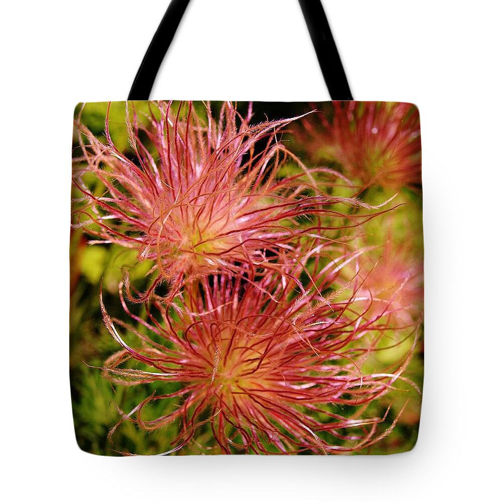 Pulsatilla Tote Bag featuring the photograph Tangled by Richard Brookes