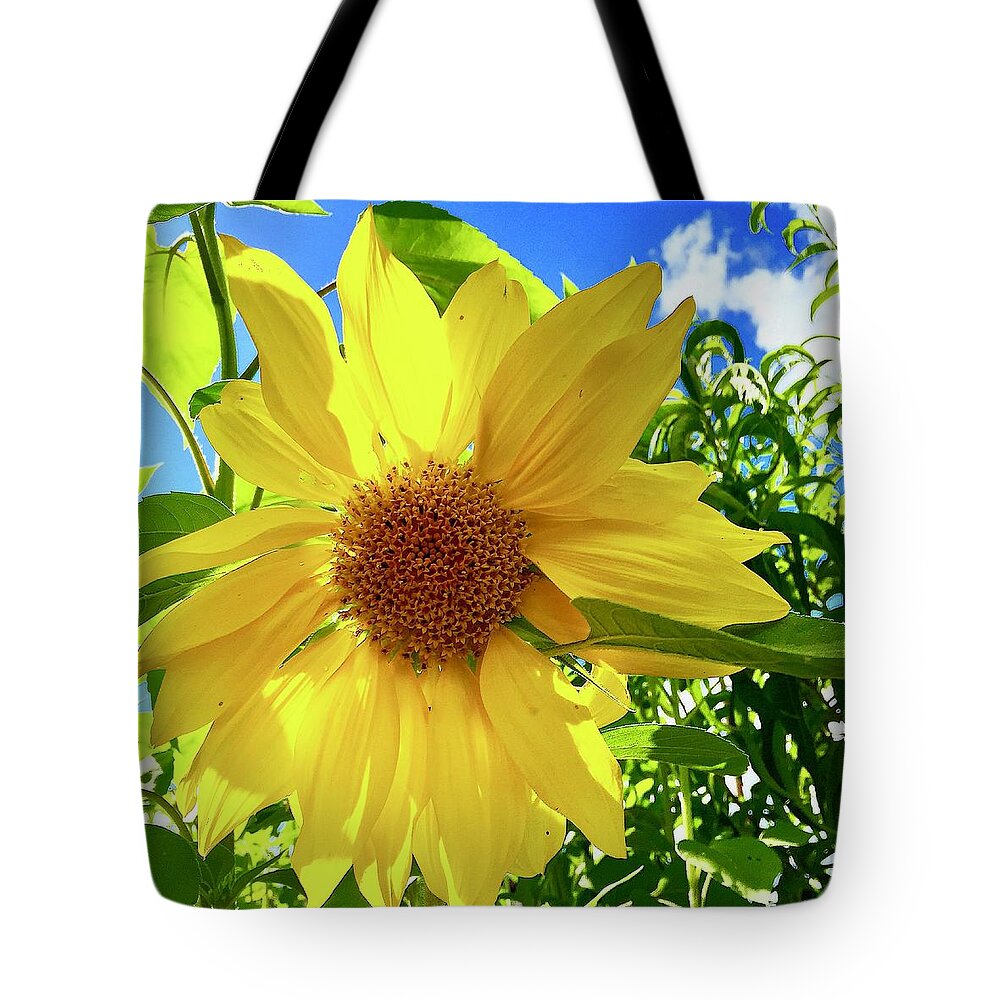 Sunflower Tote Bag featuring the photograph Tangled Sunflower by Brian Eberly
