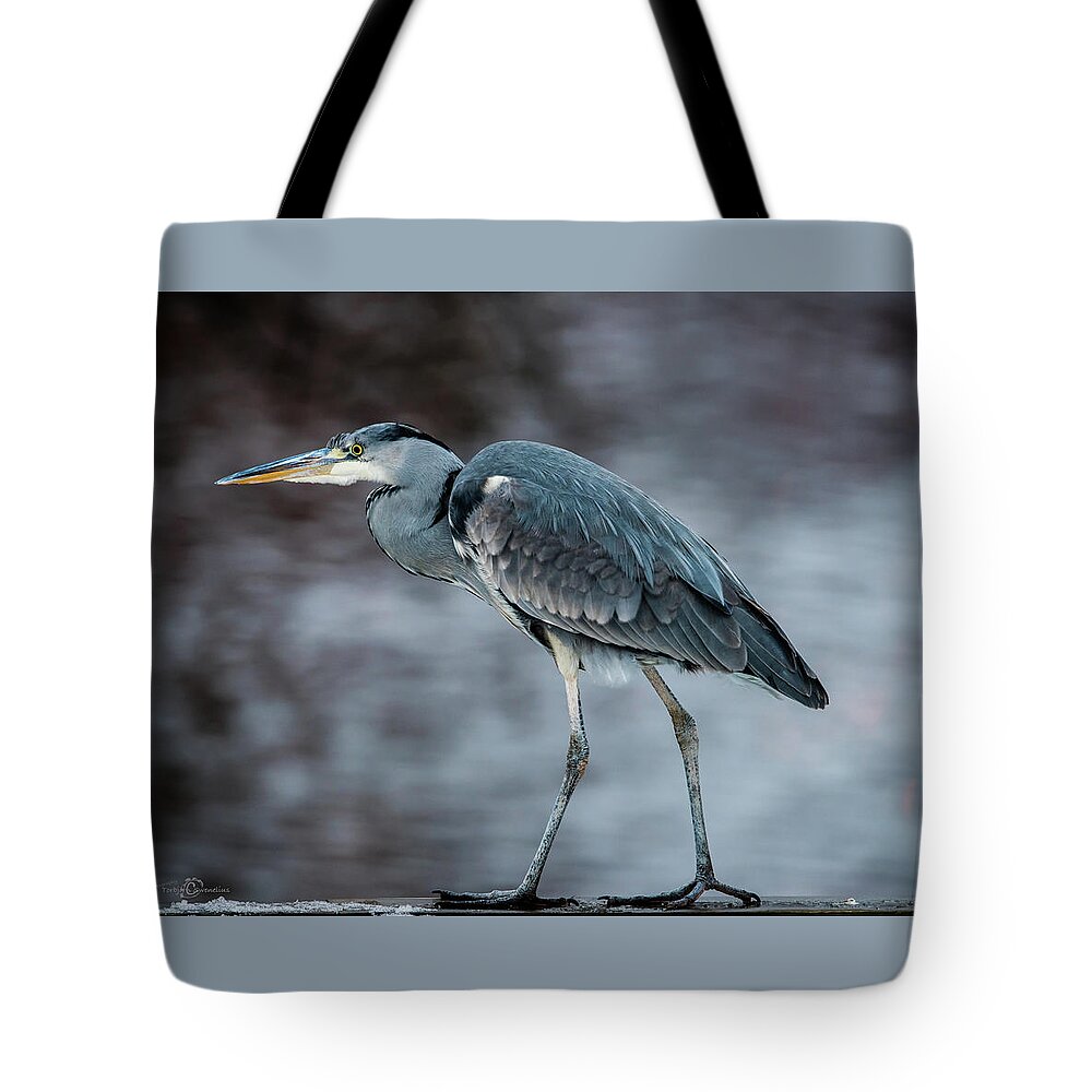 Target-oriented Grey Heron Tote Bag featuring the photograph Target Oriented Grey Heron in Profile by Torbjorn Swenelius