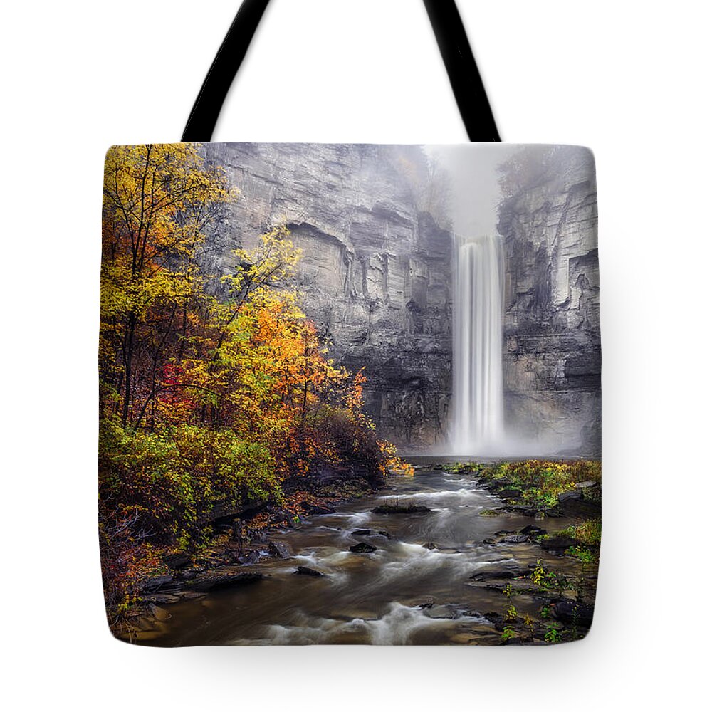 Taughannock Falls Tote Bag featuring the photograph Taughannock Fog by Mark Papke