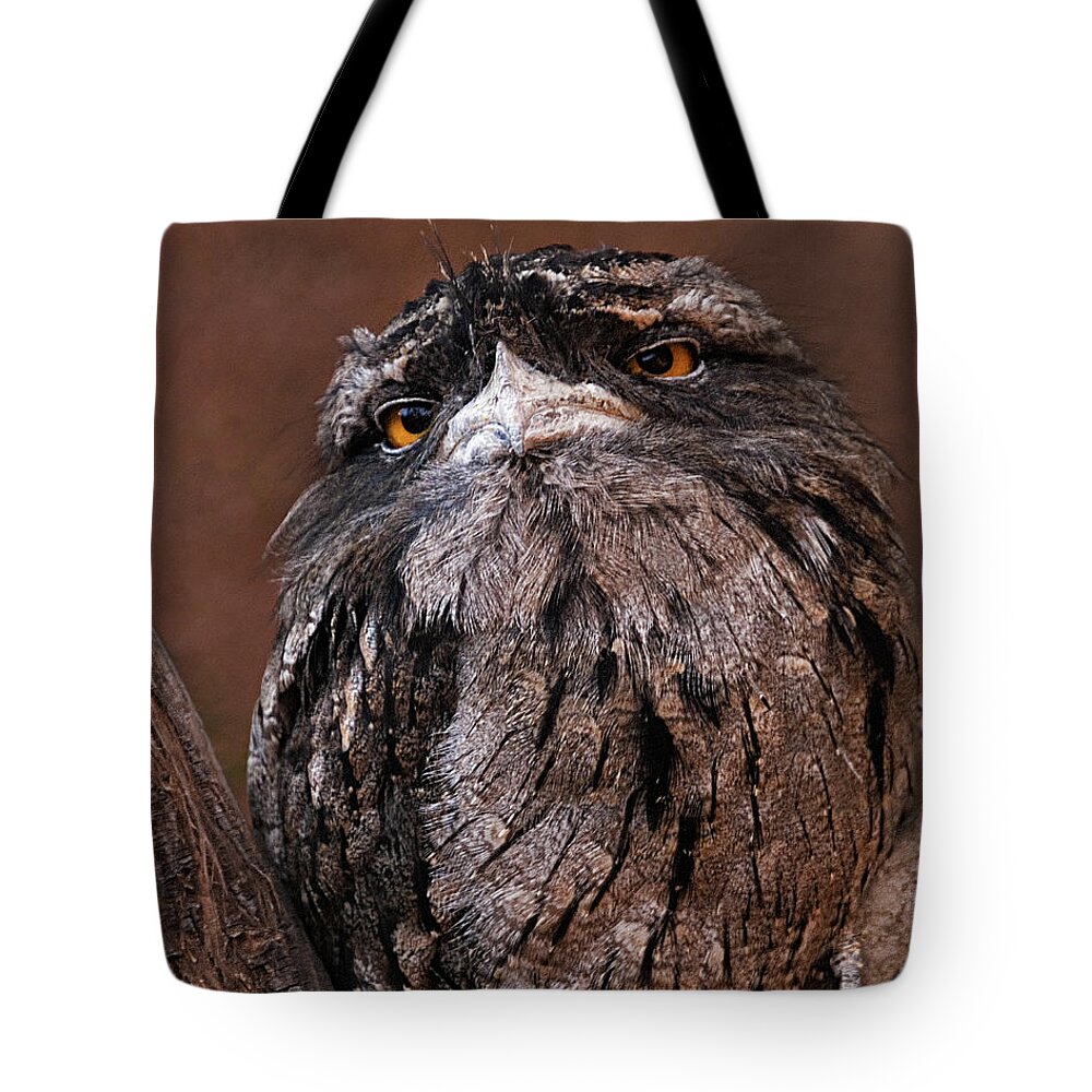 Frogmouth Tote Bag featuring the photograph Tawny Frogmouth from Australia by Mitch Spence
