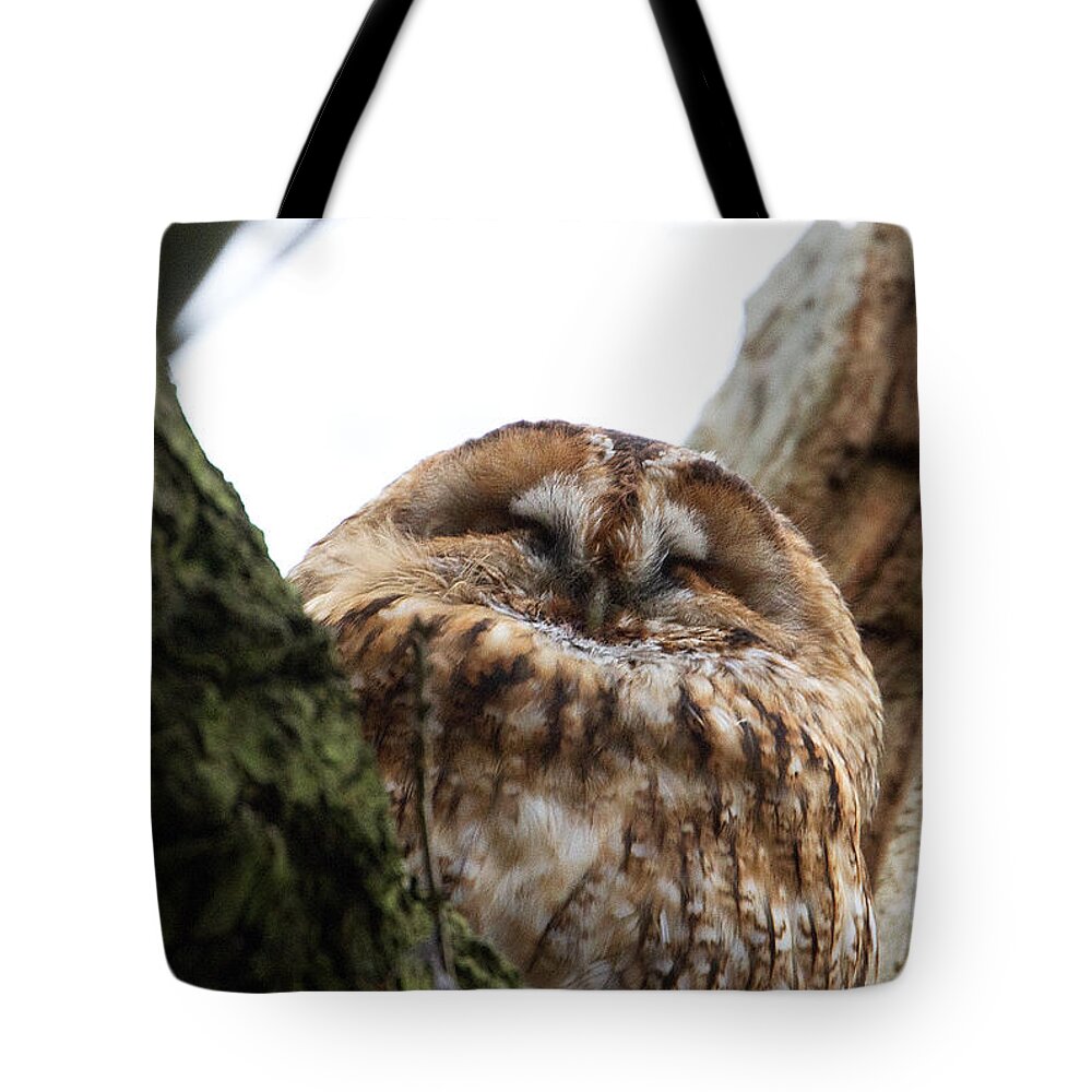 Tawny Owl Tote Bag featuring the photograph Tawny Owl by Bob Kemp