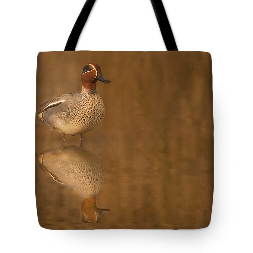 Teal Tote Bag featuring the photograph Teal by Paul Neville