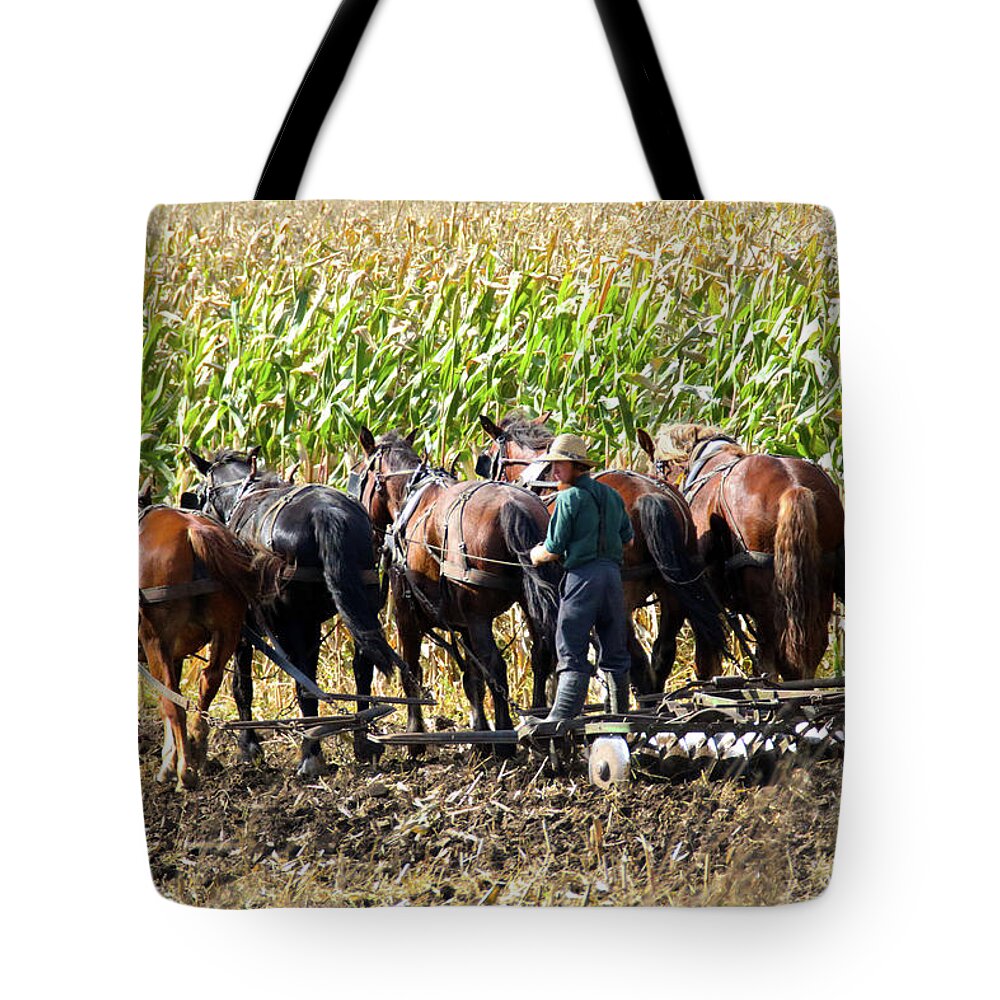 Amish Tote Bag featuring the photograph Team Of Five by Brook Burling