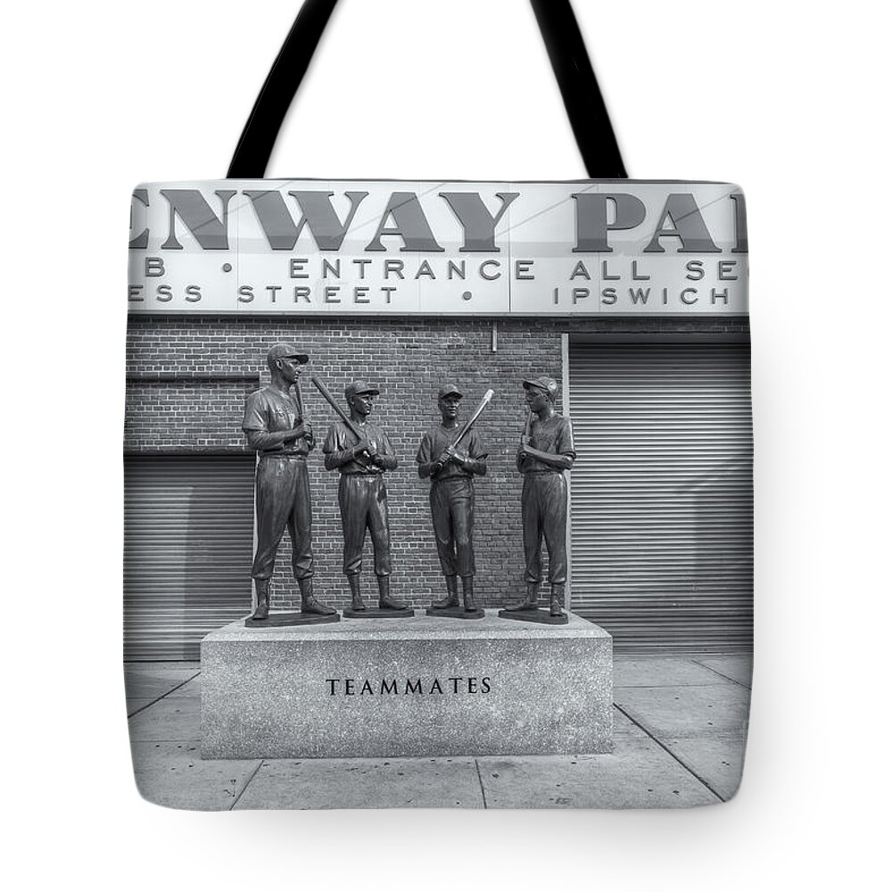 Clarence Holmes Tote Bag featuring the photograph Teammates II by Clarence Holmes