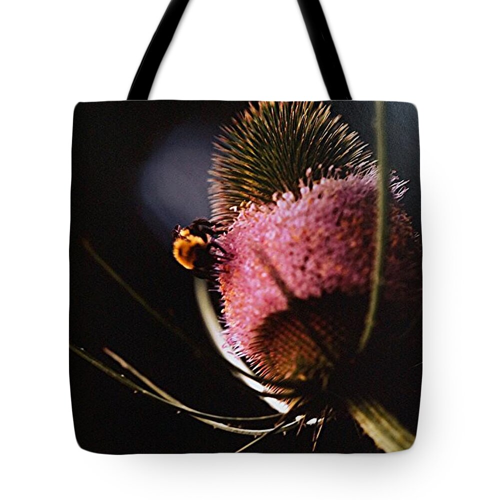 Floral Tote Bag featuring the photograph Teasel with Bee by Tracey Vivar