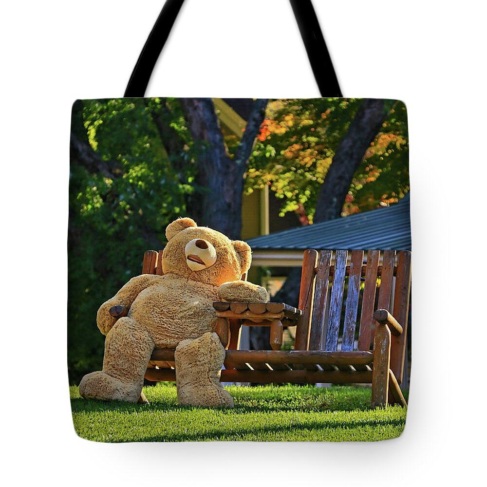 Stowe Tote Bag featuring the photograph Ted by Allen Beatty