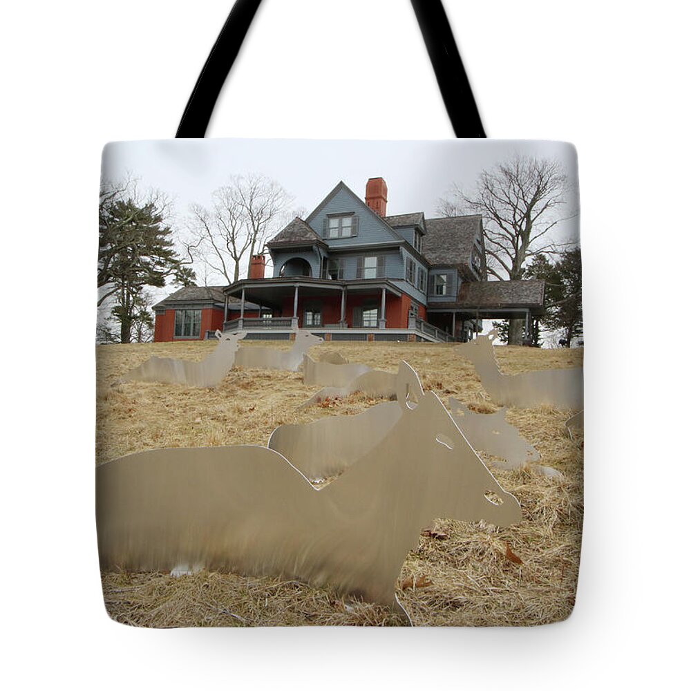 Teddy Roosevelt House Tote Bag featuring the photograph Teddy Roosevelt House Oyster Bay New York by Bob Savage