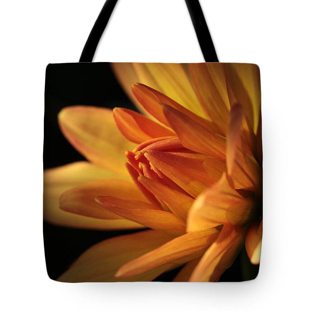 Dahlia Tote Bag featuring the photograph Temptation by Connie Handscomb
