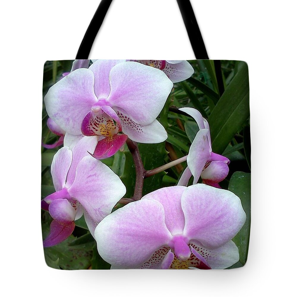 Floral Tote Bag featuring the photograph Tender Love by Pamela Henry