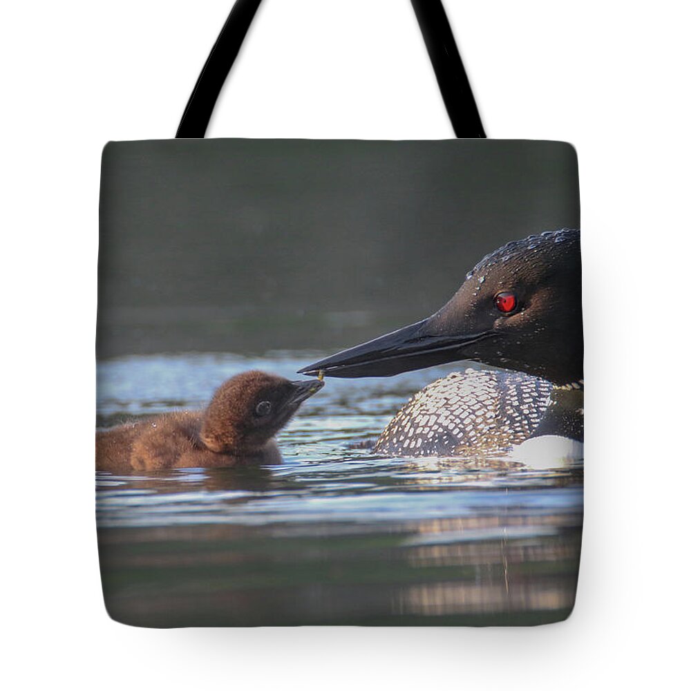 Loon Tote Bag featuring the photograph Tender Moment by Brook Burling
