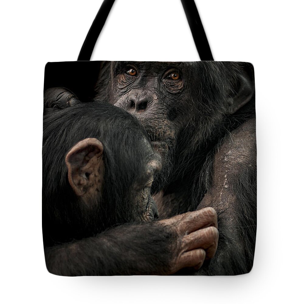 Tenderness Tote Bag featuring the photograph Tenderness by Paul Neville