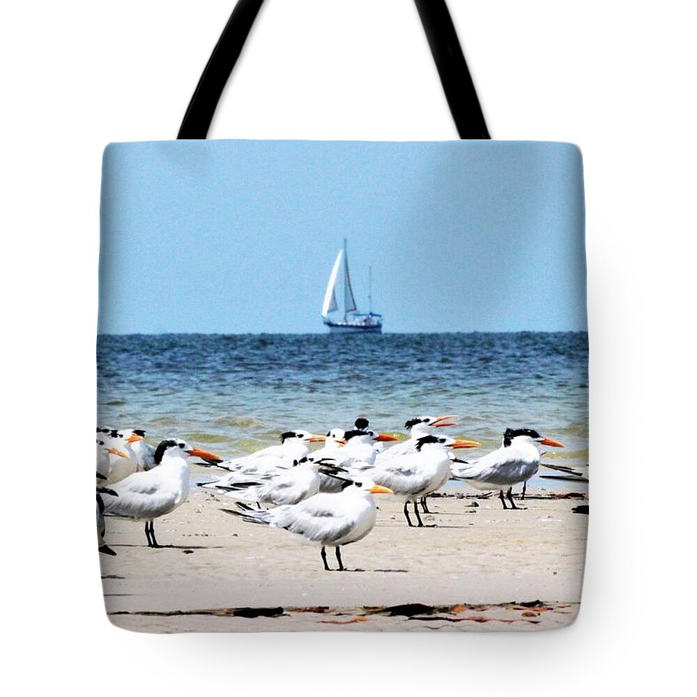 Terns Tote Bag featuring the photograph Terns and Sailors by Mary Ann Artz