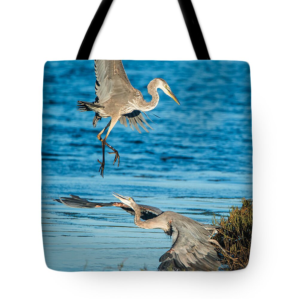 Central California Coast Tote Bag featuring the photograph Territorial Tiff by Bill Roberts
