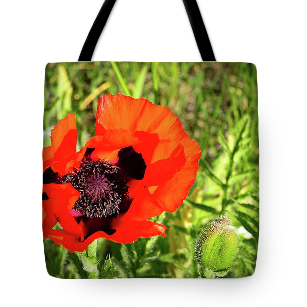 Teton Poppy Tote Bag featuring the photograph Teton Poppy by Greg Norrell