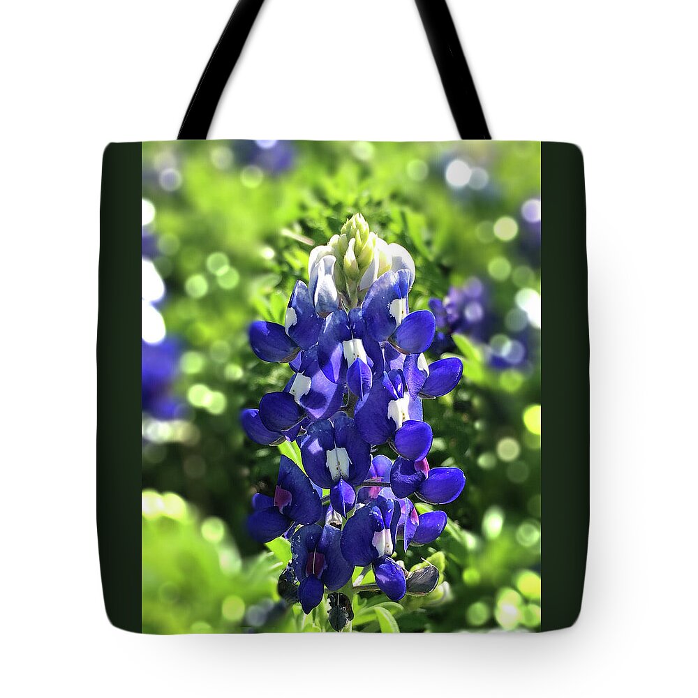 Flowers Tote Bag featuring the photograph Texas Bluebonnet by Doris Aguirre