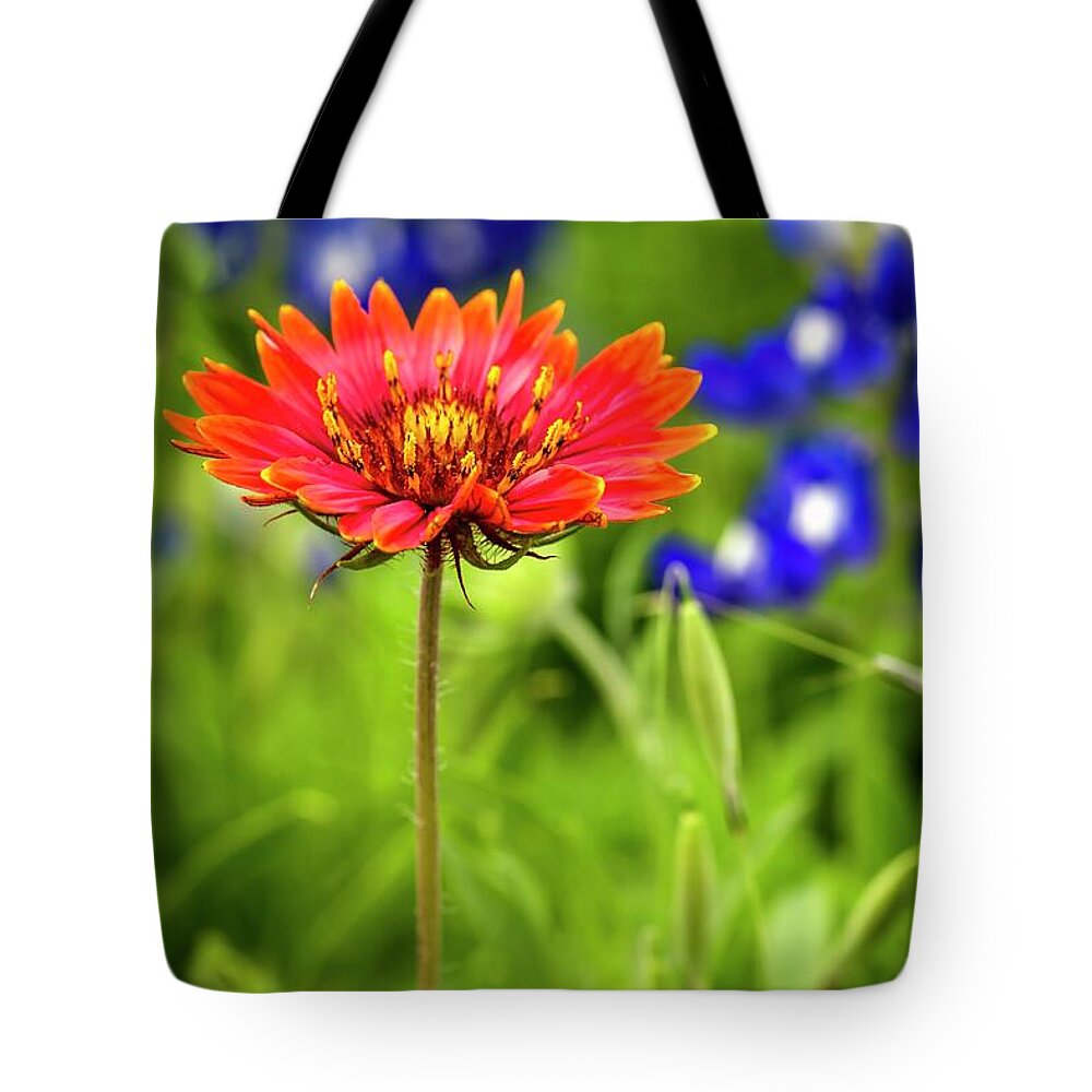 Texas Tote Bag featuring the photograph Texas Party Girl by Harriet Feagin