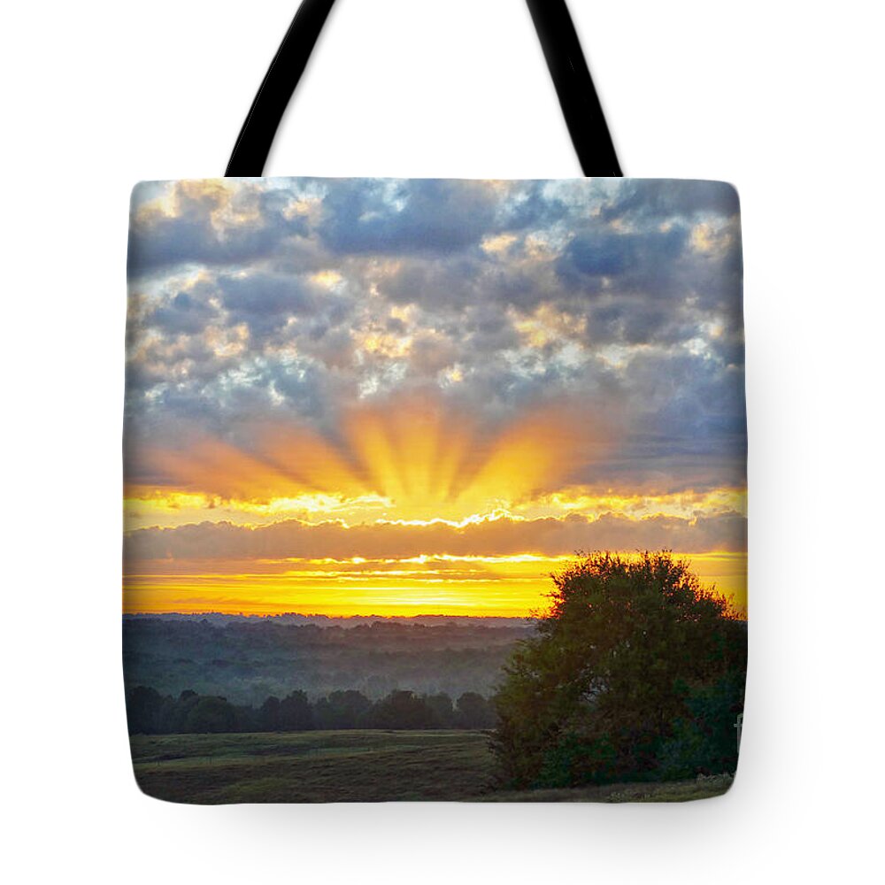 Texas Tote Bag featuring the photograph Texas Piney Woods Sunrise by Catherine Sherman